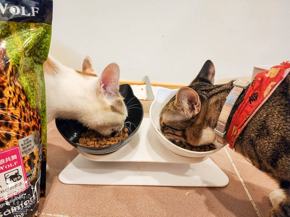 荒野饗宴貓飼料海陸大餐評價!高CP值又適口性佳的全天然無穀貓咪乾糧!