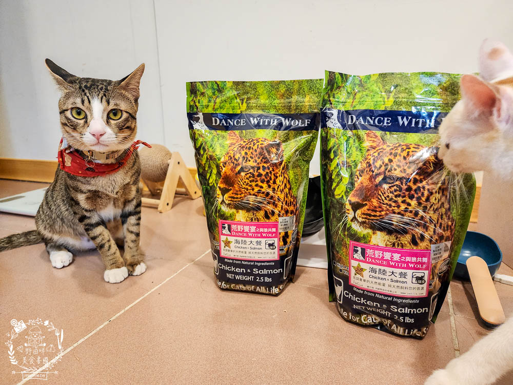 荒野饗宴貓飼料海陸大餐評價!高CP值又適口性佳的全天然無穀貓咪乾糧!