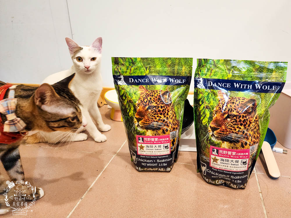 荒野饗宴貓飼料海陸大餐評價!高CP值又適口性佳的全天然無穀貓咪乾糧!