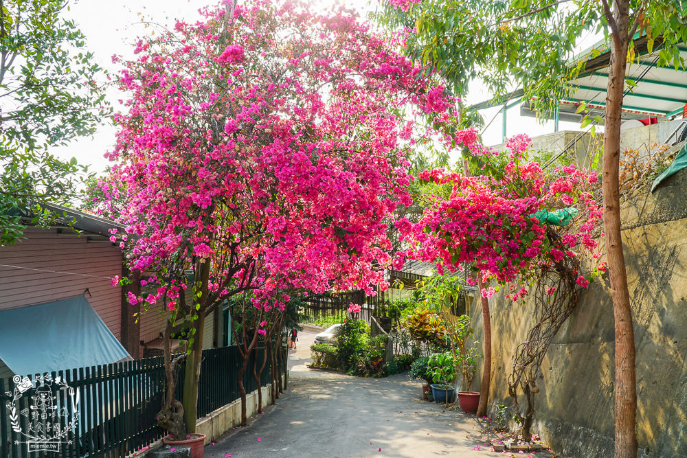 高雄柴山萊加呵景觀咖啡廳!遼闊海景一望無際x療癒下午茶超香甜!柴山景觀餐廳推薦!
