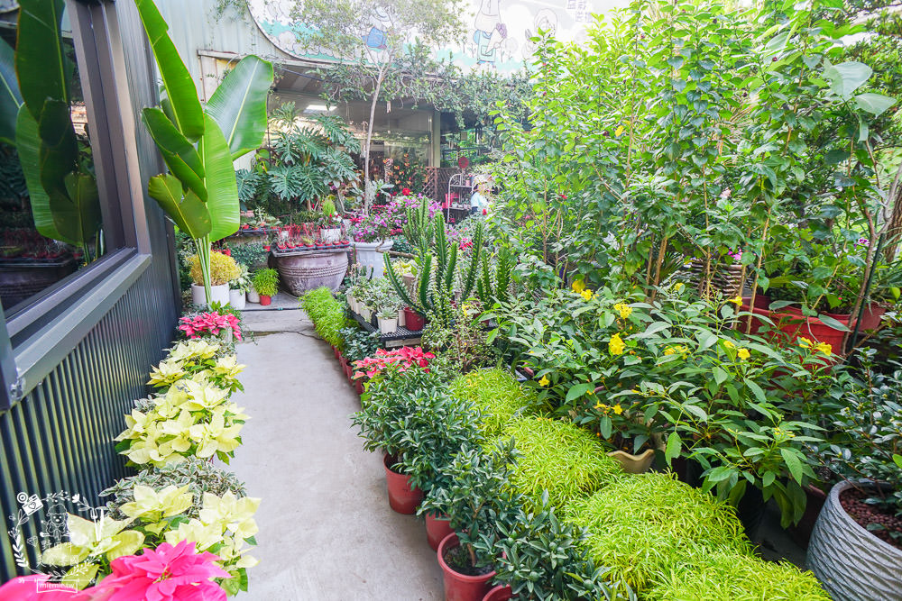 高雄[蒔遇Daily Green]隱藏在秘密花園的網美甜點店!蝦皮人氣第一名的18種口味司康?繽紛網美霜淇淋超好拍照!