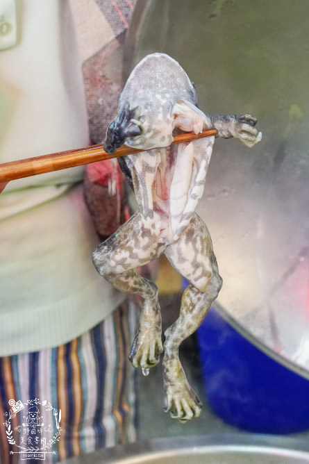 高雄40年蒜頭田雞湯|在地饕客讚不絕口的人氣肥美青蛙湯!看似恐怖卻無敵美味的補湯?