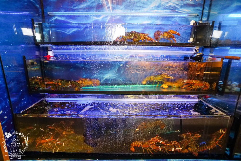 高雄[覓奇頂級鐵板燒餐廳]全場限席16位採全預約制!禮聘旅日四十年經驗主廚掌檯!