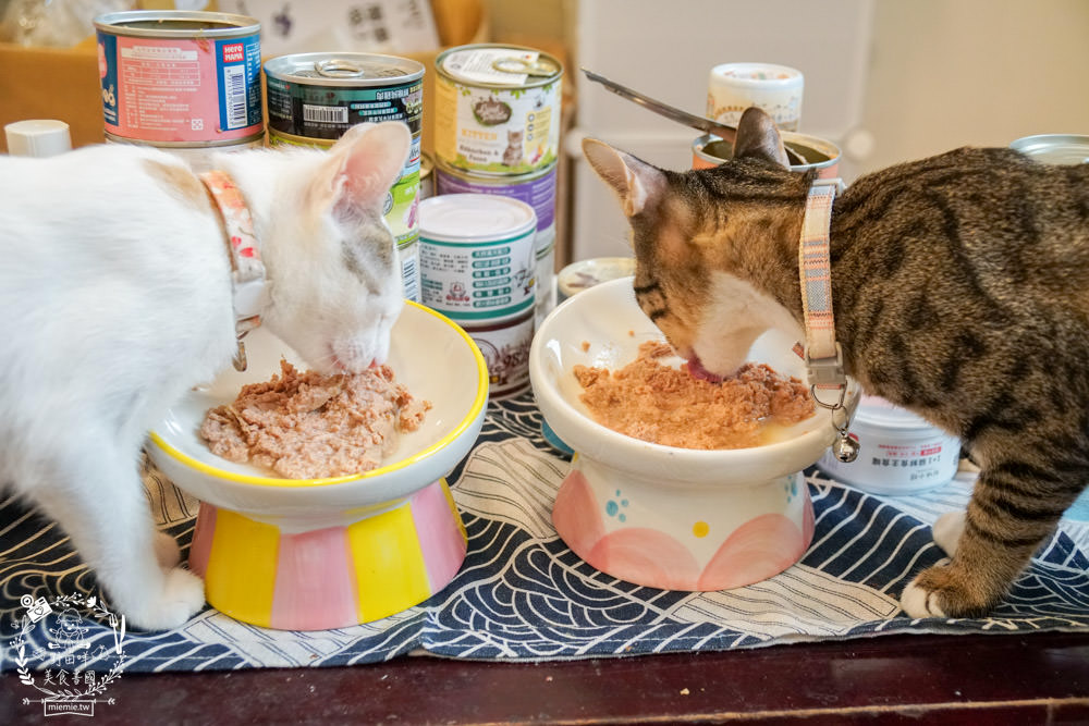 貓咪主食罐推薦!超有名的台灣品牌貓咪主食罐推薦!超多款高達90%以上含肉量?!