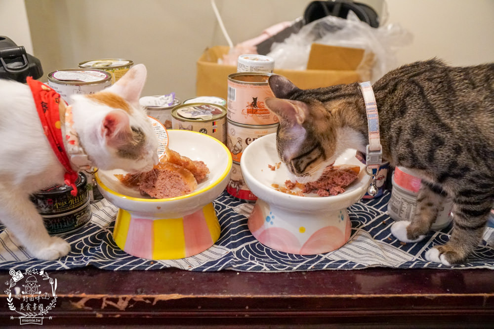 貓咪主食罐推薦!10款超推薦的德國主食罐!高CP值又營養充沛養出健康喵喵(內藏私心愛罐 - 第14張圖 貓咪主食罐推薦!10款超推薦的德國主食罐!高CP值又營養充沛養出健康喵喵(內藏私心愛罐