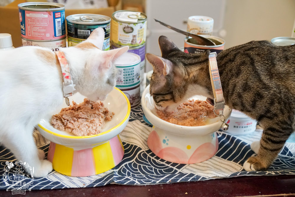 貓咪主食罐推薦!超有名的台灣品牌貓咪主食罐推薦!超多款高達90%以上含肉量?!