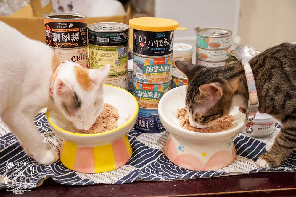貓咪主食罐推薦!超有名的台灣品牌貓咪主食罐推薦!超多款高達90%以上含肉量?!