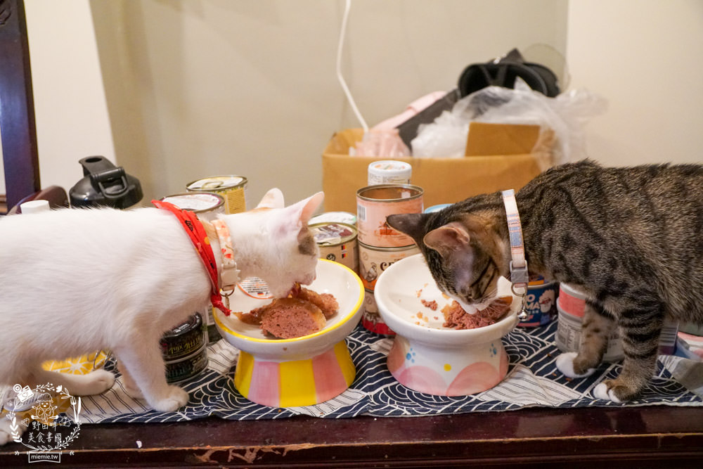 貓咪主食罐推薦!10款超推薦的德國主食罐!高CP值又營養充沛養出健康喵喵(內藏私心愛罐 - 第15張圖 貓咪主食罐推薦!10款超推薦的德國主食罐!高CP值又營養充沛養出健康喵喵(內藏私心愛罐