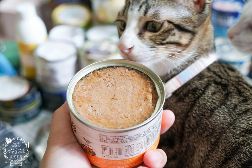 貓咪主食罐推薦!10款超推薦的德國主食罐!高CP值又營養充沛養出健康喵喵(內藏私心愛罐 - 第17張圖 貓咪主食罐推薦!10款超推薦的德國主食罐!高CP值又營養充沛養出健康喵喵(內藏私心愛罐