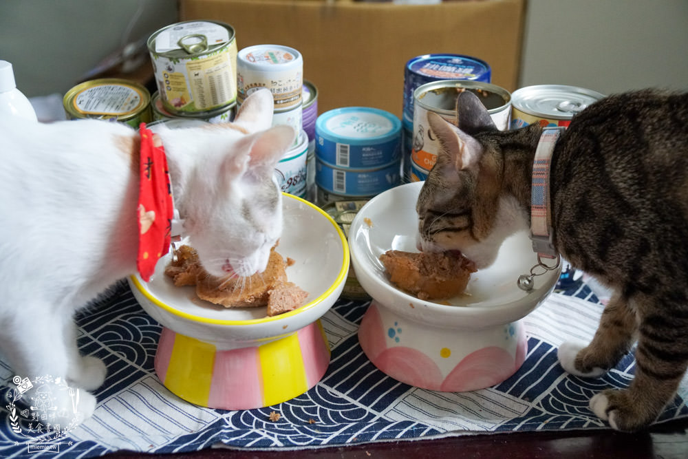 貓咪主食罐推薦!10款超推薦的德國主食罐!高CP值又營養充沛養出健康喵喵(內藏私心愛罐 - 第20張圖 貓咪主食罐推薦!10款超推薦的德國主食罐!高CP值又營養充沛養出健康喵喵(內藏私心愛罐