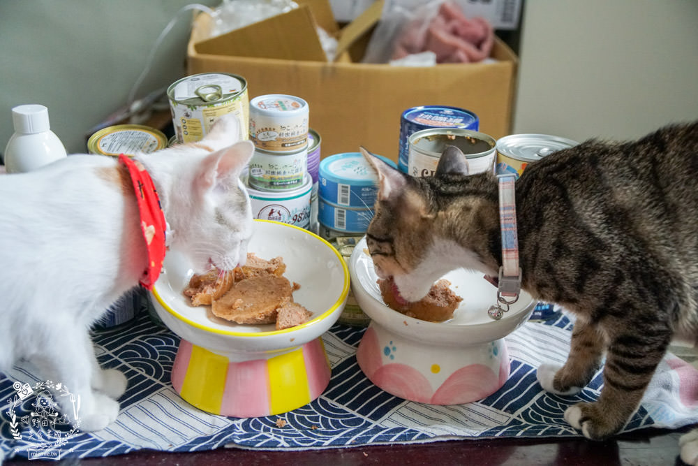 貓咪主食罐推薦!10款超推薦的德國主食罐!高CP值又營養充沛養出健康喵喵(內藏私心愛罐 - 第21張圖 貓咪主食罐推薦!10款超推薦的德國主食罐!高CP值又營養充沛養出健康喵喵(內藏私心愛罐