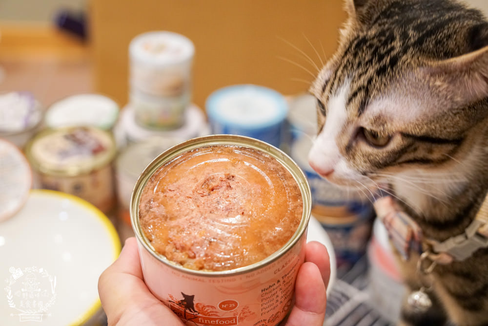 貓咪主食罐推薦!10款超推薦的德國主食罐!高CP值又營養充沛養出健康喵喵(內藏私心愛罐 - 第11張圖 貓咪主食罐推薦!10款超推薦的德國主食罐!高CP值又營養充沛養出健康喵喵(內藏私心愛罐
