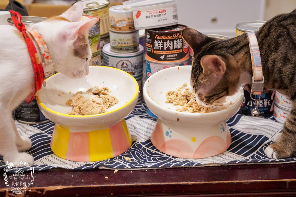 貓咪主食罐推薦!超有名的台灣品牌貓咪主食罐推薦!超多款高達90%以上含肉量?!
