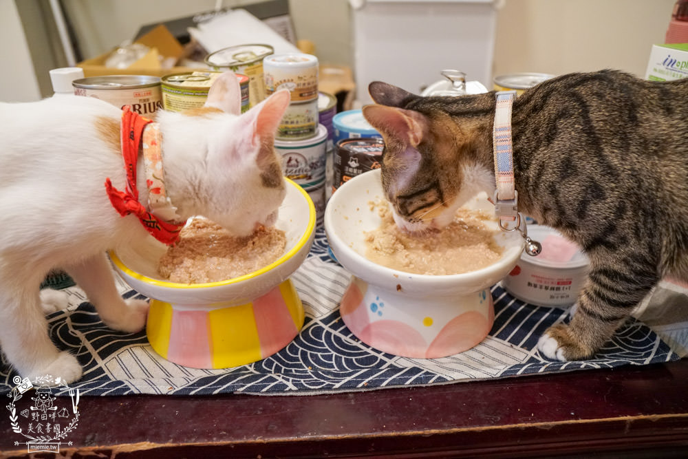 貓咪主食罐推薦!超有名的台灣品牌貓咪主食罐推薦!超多款高達90%以上含肉量?!