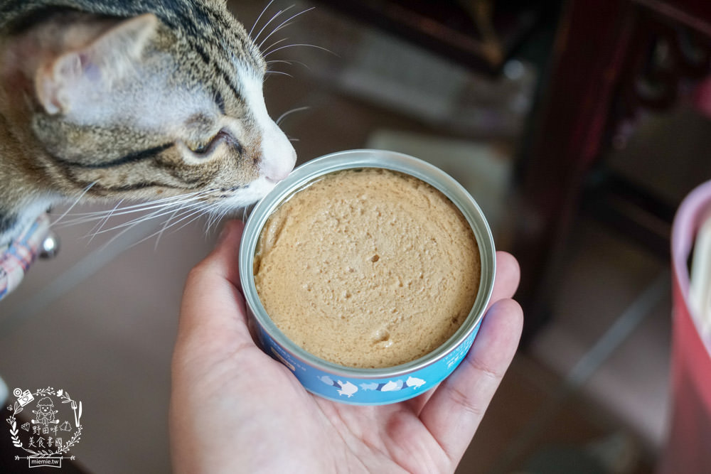 貓咪主食罐推薦!超有名的台灣品牌貓咪主食罐推薦!超多款高達90%以上含肉量?!