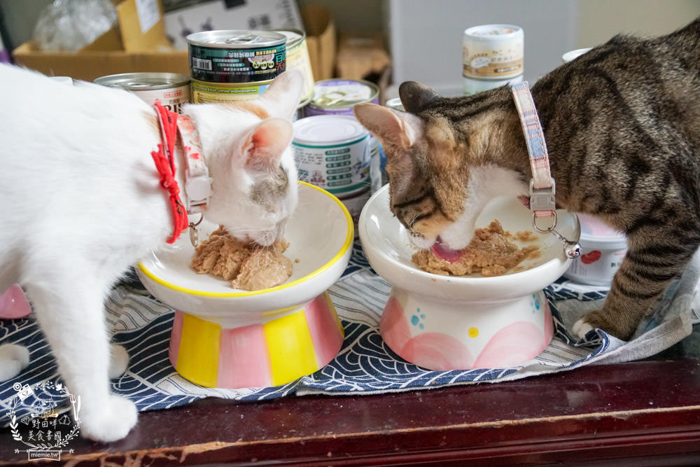 貓咪主食罐推薦!超有名的台灣品牌貓咪主食罐推薦!超多款高達90%以上含肉量?!