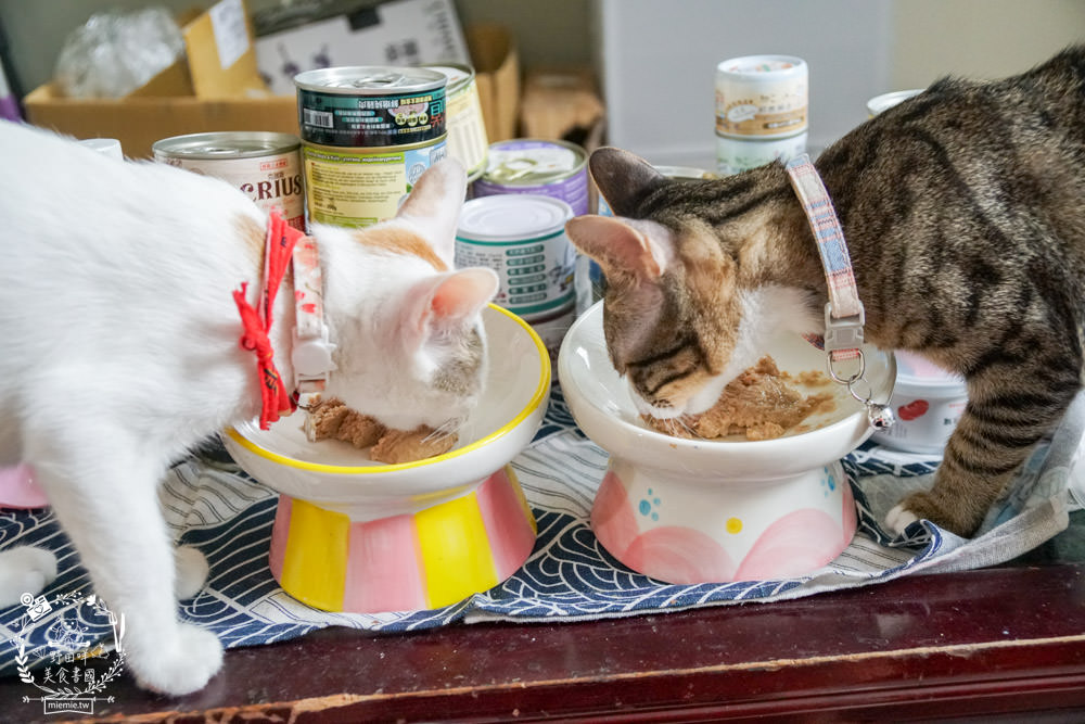 貓咪主食罐推薦!超有名的台灣品牌貓咪主食罐推薦!超多款高達90%以上含肉量?!