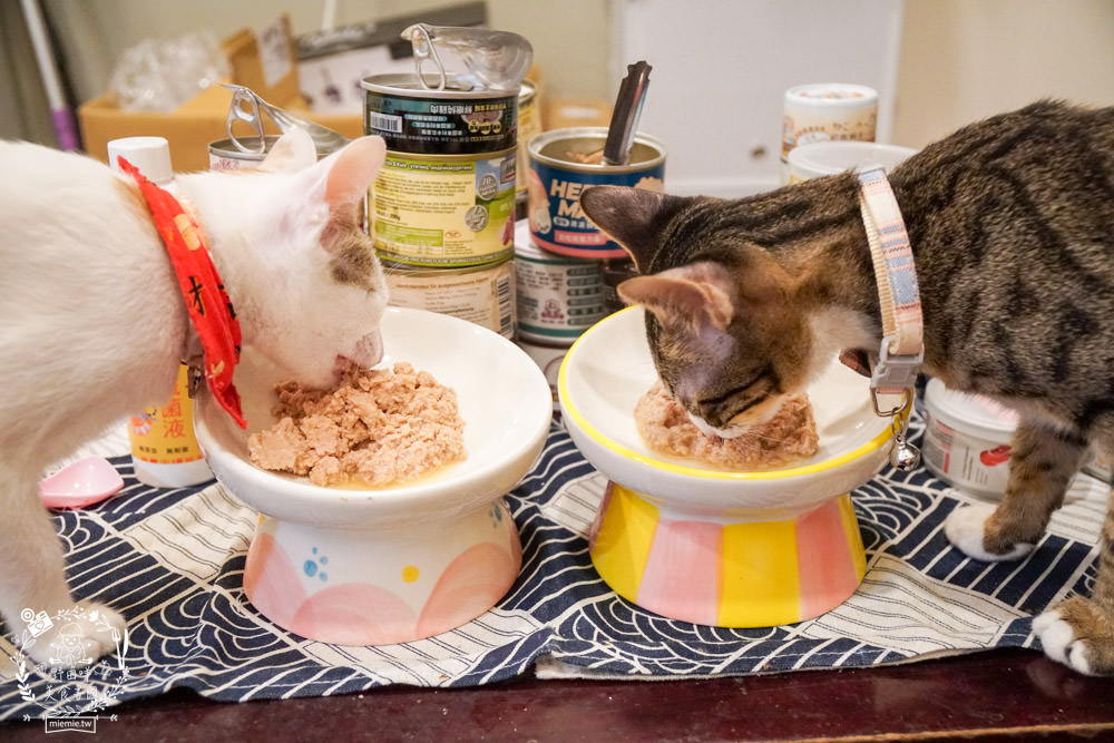 貓咪主食罐推薦!超有名的台灣品牌貓咪主食罐推薦!超多款高達90%以上含肉量?!