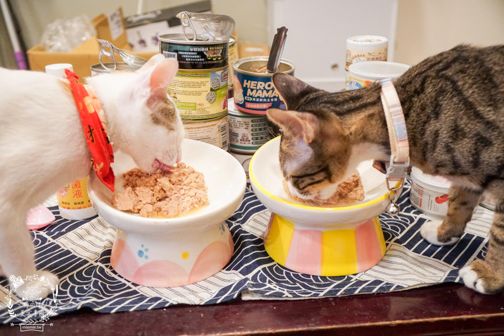 貓咪主食罐推薦!超有名的台灣品牌貓咪主食罐推薦!超多款高達90%以上含肉量?!