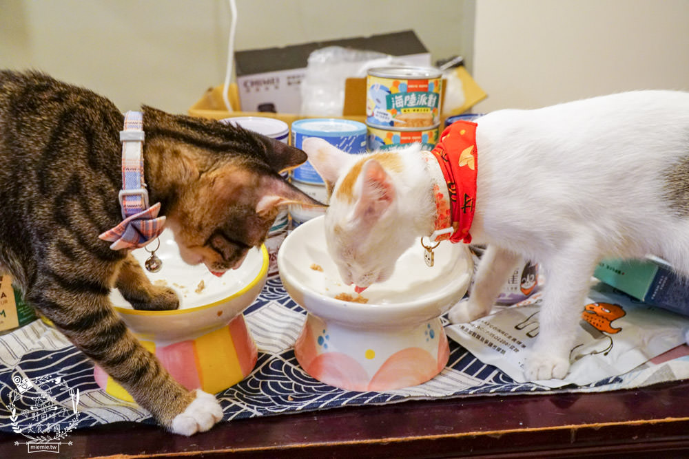 貓咪主食罐推薦!超有名的台灣品牌貓咪主食罐推薦!超多款高達90%以上含肉量?!