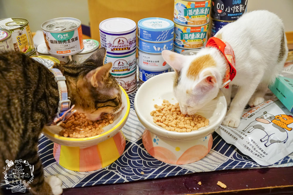 貓咪主食罐推薦!超有名的台灣品牌貓咪主食罐推薦!超多款高達90%以上含肉量?!