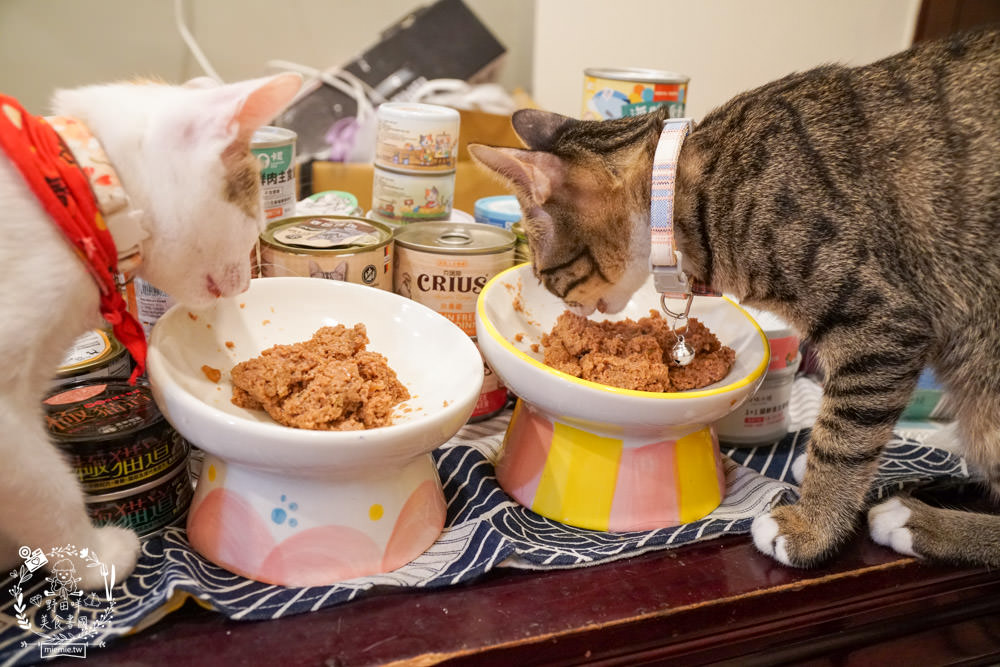 貓咪主食罐推薦!10款超推薦的德國主食罐!高CP值又營養充沛養出健康喵喵(內藏私心愛罐 - 第41張圖 貓咪主食罐推薦!10款超推薦的德國主食罐!高CP值又營養充沛養出健康喵喵(內藏私心愛罐