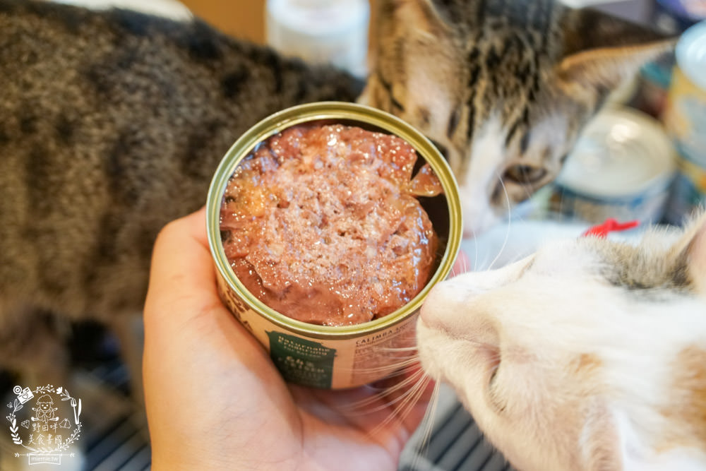 貓咪主食罐推薦!10款超推薦的德國主食罐!高CP值又營養充沛養出健康喵喵(內藏私心愛罐 - 第29張圖 貓咪主食罐推薦!10款超推薦的德國主食罐!高CP值又營養充沛養出健康喵喵(內藏私心愛罐