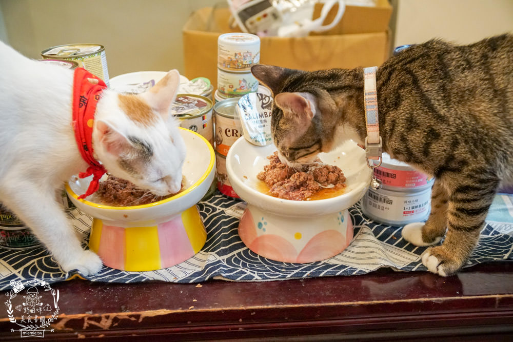 貓咪主食罐推薦!10款超推薦的德國主食罐!高CP值又營養充沛養出健康喵喵(內藏私心愛罐 - 第31張圖 貓咪主食罐推薦!10款超推薦的德國主食罐!高CP值又營養充沛養出健康喵喵(內藏私心愛罐
