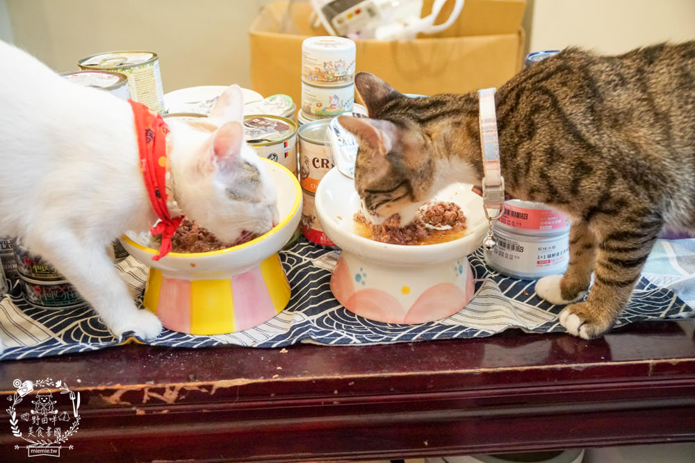 貓咪主食罐推薦!10款超推薦的德國主食罐!高CP值又營養充沛養出健康喵喵(內藏私心愛罐 - 第32張圖 貓咪主食罐推薦!10款超推薦的德國主食罐!高CP值又營養充沛養出健康喵喵(內藏私心愛罐