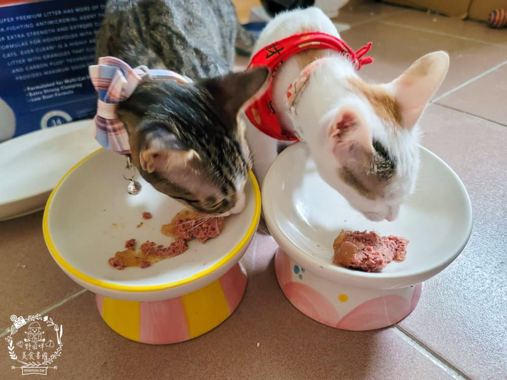 貓咪主食罐推薦!10款超推薦的德國主食罐!高CP值又營養充沛養出健康喵喵(內藏私心愛罐 - 第6張圖 貓咪主食罐推薦!10款超推薦的德國主食罐!高CP值又營養充沛養出健康喵喵(內藏私心愛罐