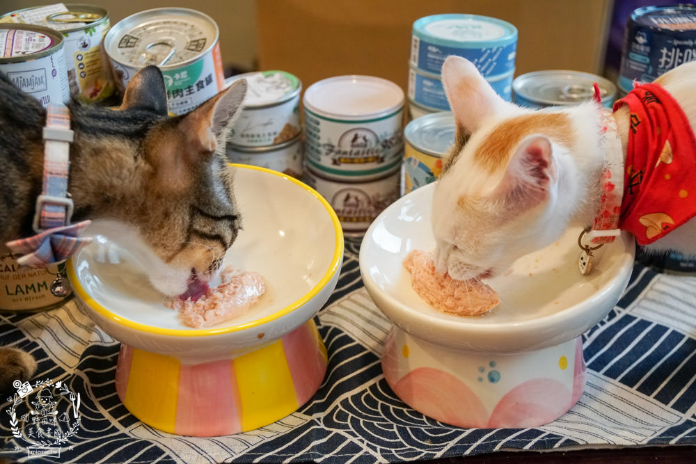 貓咪主食罐推薦!超有名的台灣品牌貓咪主食罐推薦!超多款高達90%以上含肉量?!