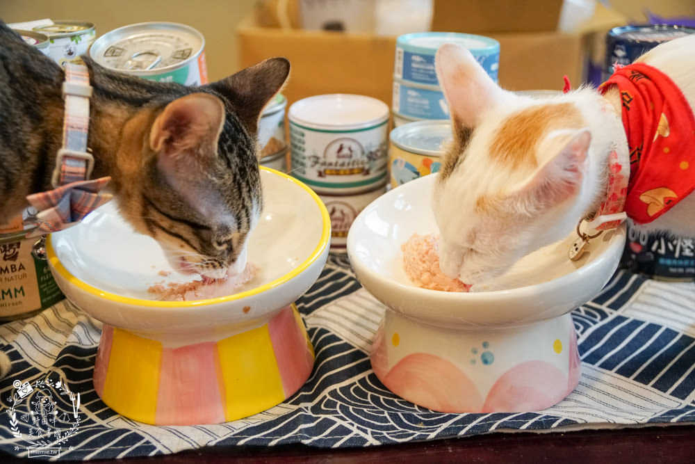 貓咪主食罐推薦!超有名的台灣品牌貓咪主食罐推薦!超多款高達90%以上含肉量?!