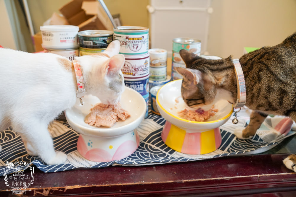 貓咪主食罐推薦!超有名的台灣品牌貓咪主食罐推薦!超多款高達90%以上含肉量?!