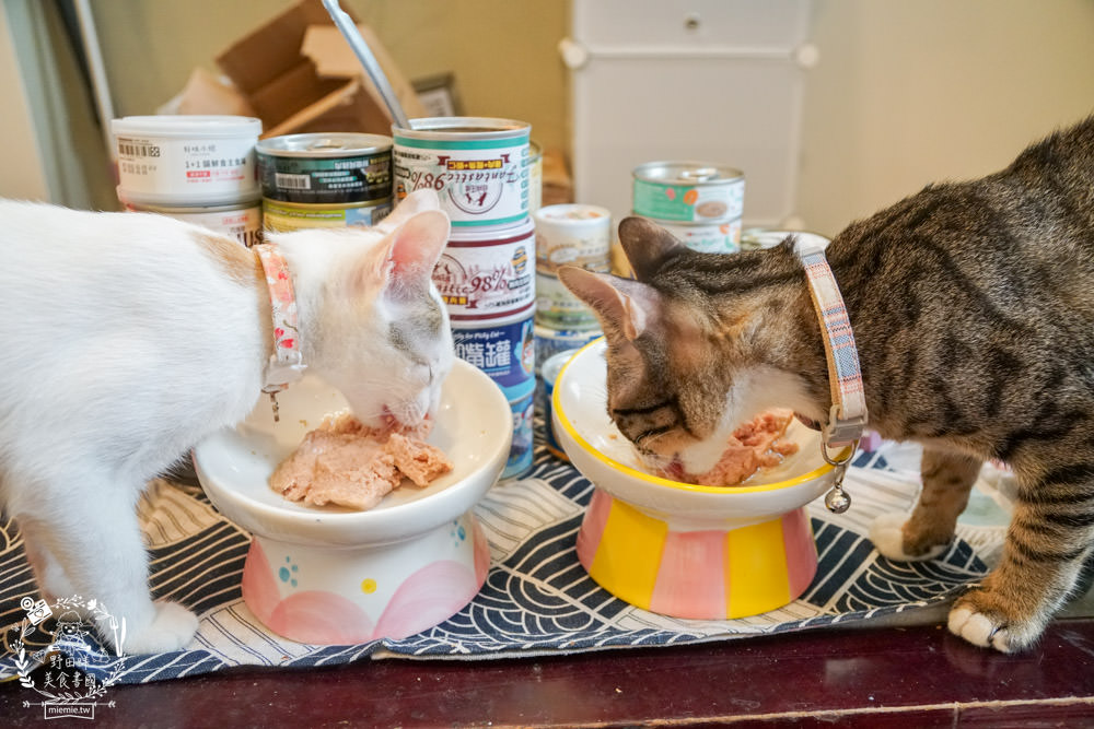 貓咪主食罐推薦!超有名的台灣品牌貓咪主食罐推薦!超多款高達90%以上含肉量?!