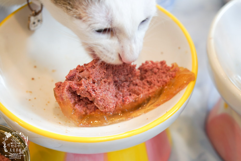 貓咪主食罐推薦!10款超推薦的德國主食罐!高CP值又營養充沛養出健康喵喵(內藏私心愛罐 - 第25張圖 貓咪主食罐推薦!10款超推薦的德國主食罐!高CP值又營養充沛養出健康喵喵(內藏私心愛罐
