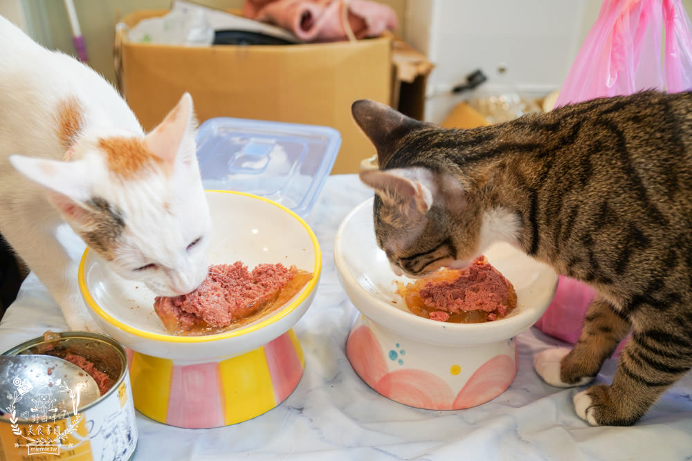 貓咪主食罐推薦!10款超推薦的德國主食罐!高CP值又營養充沛養出健康喵喵(內藏私心愛罐 - 第26張圖 貓咪主食罐推薦!10款超推薦的德國主食罐!高CP值又營養充沛養出健康喵喵(內藏私心愛罐