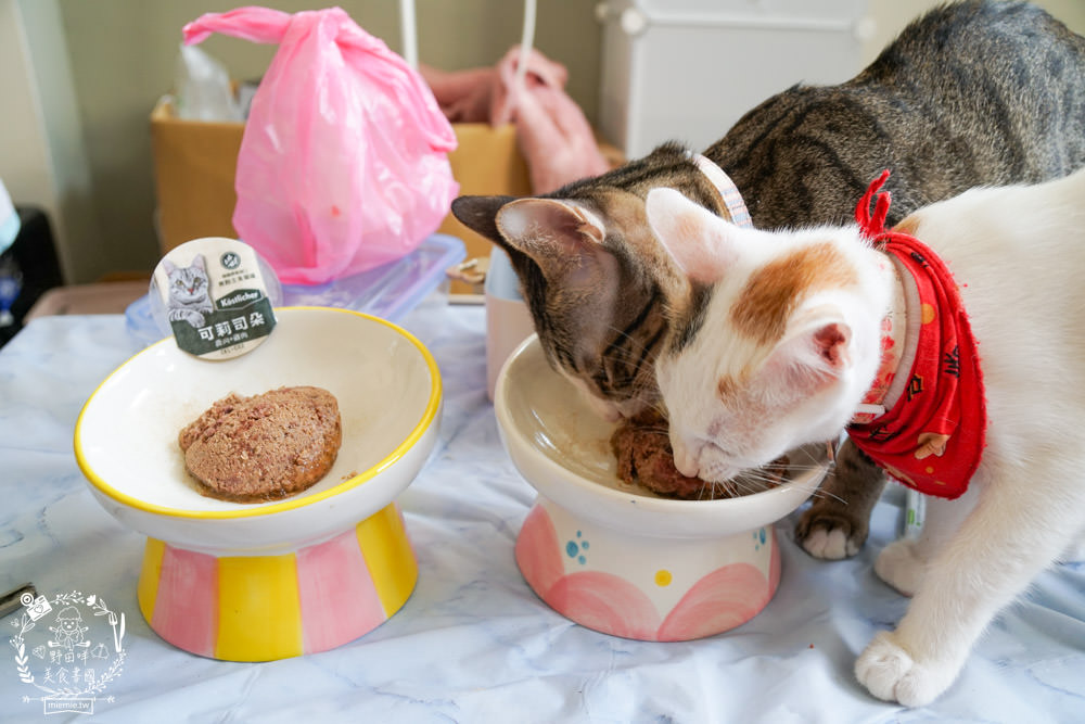 貓咪主食罐推薦!10款超推薦的德國主食罐!高CP值又營養充沛養出健康喵喵(內藏私心愛罐