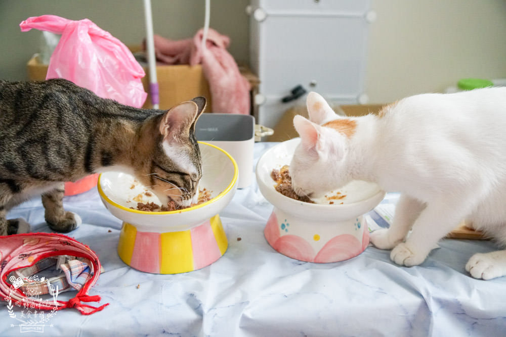 貓咪主食罐推薦!10款超推薦的德國主食罐!高CP值又營養充沛養出健康喵喵(內藏私心愛罐 - 第47張圖 貓咪主食罐推薦!10款超推薦的德國主食罐!高CP值又營養充沛養出健康喵喵(內藏私心愛罐
