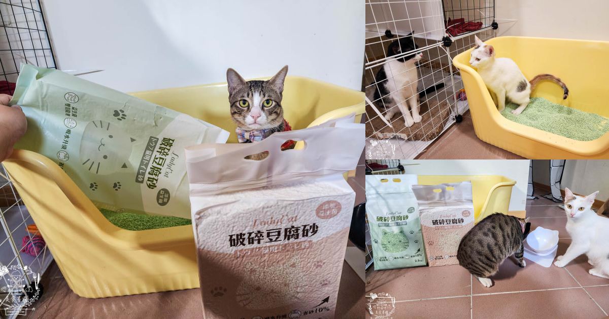 Lady Cat貓夫人第四代豆腐砂開箱!超強凝結吸收力的貓砂!專利益生菌與天然黃豆纖維雙效除臭! - 第1張圖 Lady Cat貓夫人第四代豆腐砂開箱!超強凝結吸收力的貓砂!專利益生菌與天然黃豆纖維雙效除臭!