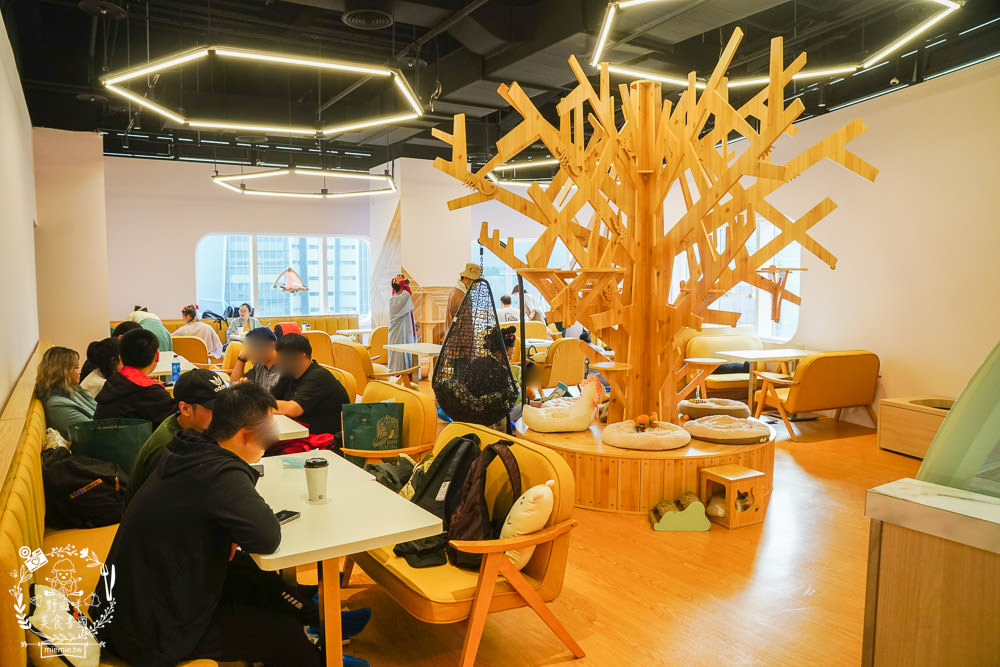 台北貓咪餐廳[貓樂貓咖啡信義遠百店]居然有12隻超可愛的萌系貓咪陪同用餐玩樂!連小朋友都可以進去唷～