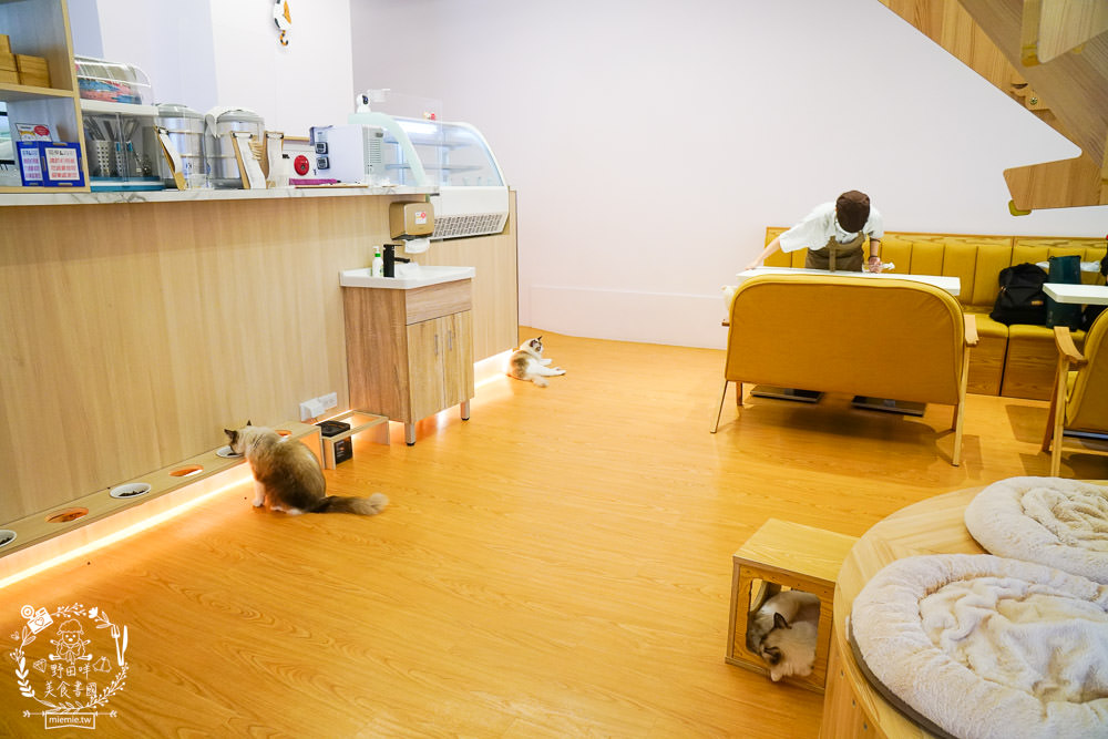 台北貓咪餐廳[貓樂貓咖啡信義遠百店]居然有12隻超可愛的萌系貓咪陪同用餐玩樂!連小朋友都可以進去唷～