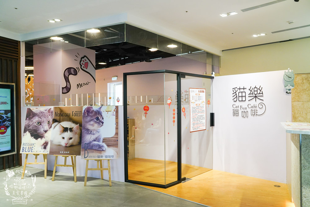 台北貓咪餐廳[貓樂貓咖啡信義遠百店]居然有12隻超可愛的萌系貓咪陪同用餐玩樂!連小朋友都可以進去唷～