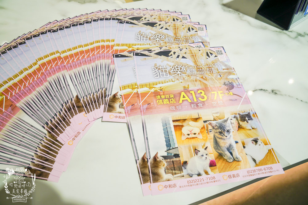 台北貓咪餐廳[貓樂貓咖啡信義遠百店]居然有12隻超可愛的萌系貓咪陪同用餐玩樂!連小朋友都可以進去唷～