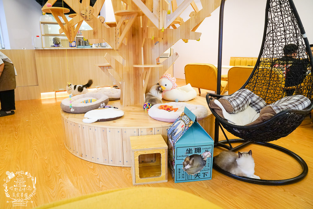 台北貓咪餐廳[貓樂貓咖啡信義遠百店]居然有12隻超可愛的萌系貓咪陪同用餐玩樂!連小朋友都可以進去唷～