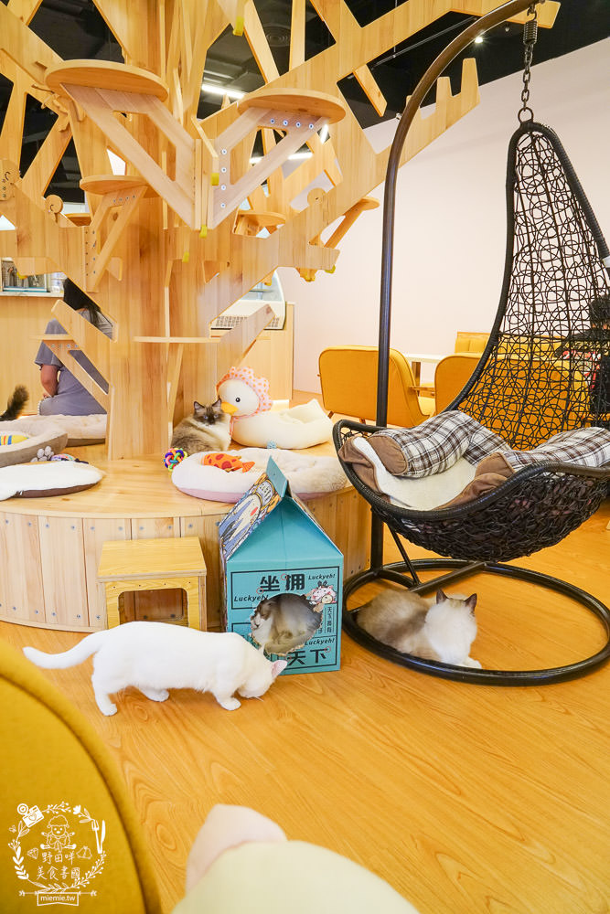 台北貓咪餐廳[貓樂貓咖啡信義遠百店]居然有12隻超可愛的萌系貓咪陪同用餐玩樂!連小朋友都可以進去唷～