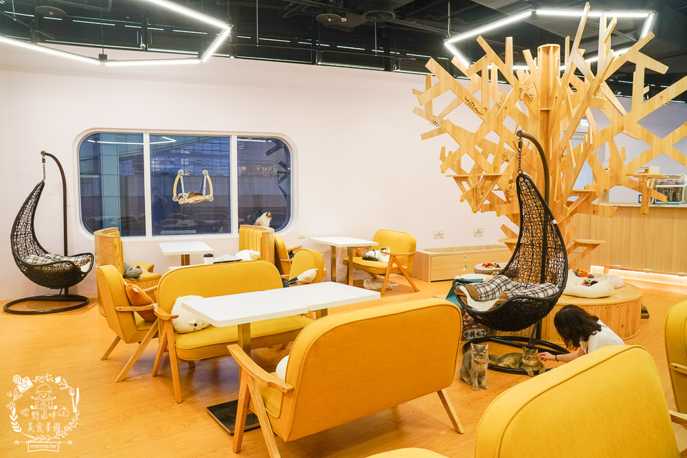 台北貓咪餐廳[貓樂貓咖啡信義遠百店]居然有12隻超可愛的萌系貓咪陪同用餐玩樂!連小朋友都可以進去唷～