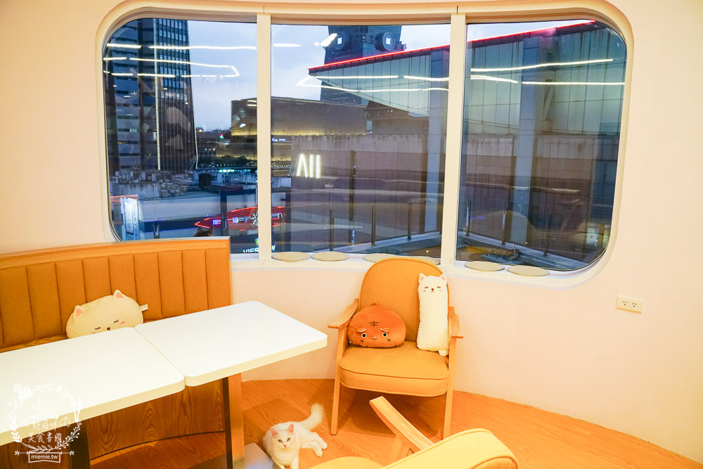 台北貓咪餐廳[貓樂貓咖啡信義遠百店]居然有12隻超可愛的萌系貓咪陪同用餐玩樂!連小朋友都可以進去唷～