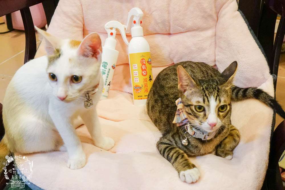 貓咪清潔用品開箱<沒有臭>貓用滅菌液+沒有油 電淨水 清爽餐具水洗液|無毒不刺激不致敏，誤舔無礙的清潔用品