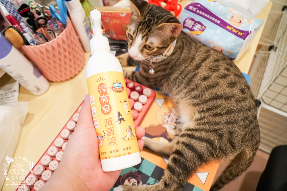 貓咪清潔用品開箱<沒有臭>貓用滅菌液+沒有油 電淨水 清爽餐具水洗液|無毒不刺激不致敏，誤舔無礙的清潔用品
