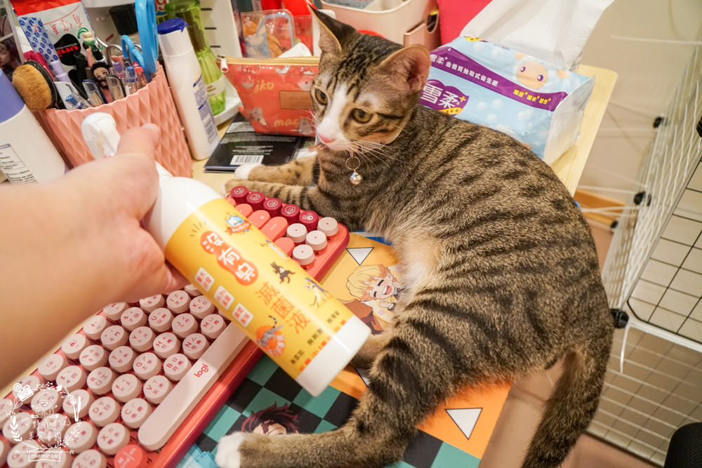 貓咪清潔用品開箱<沒有臭>貓用滅菌液+沒有油 電淨水 清爽餐具水洗液|無毒不刺激不致敏，誤舔無礙的清潔用品